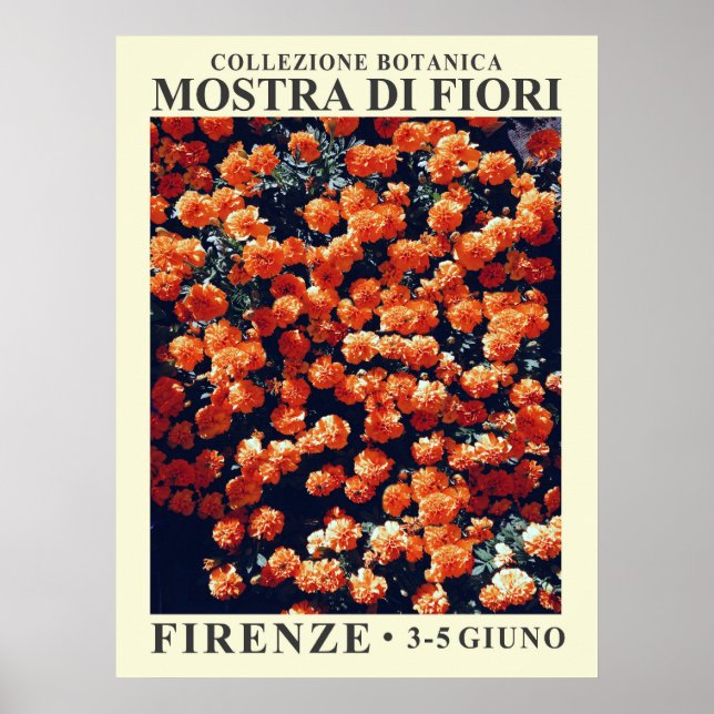 Póster Poster de la Exposición Floral No. 3 (Frente)