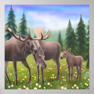 Póster Poster de la familia Moose del Norte