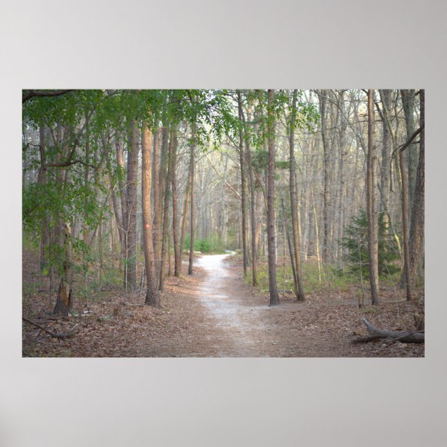 Póster Poster de la fila de árboles en el camino (Frente)