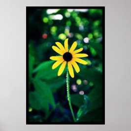 Póster Poster de la flor amarilla #5033
