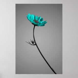 Póster poster de la flor de la turquesa