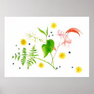 Póster poster de la flor salvaje