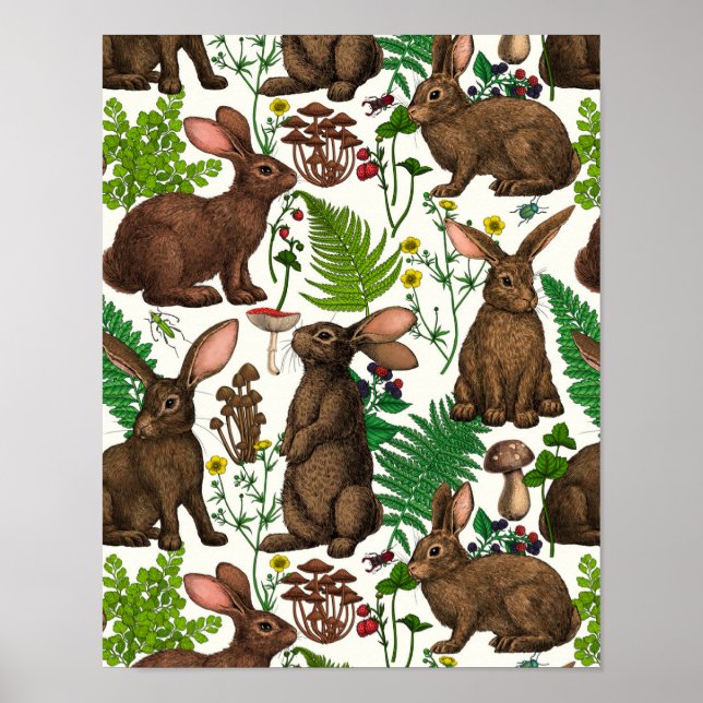 Póster Poster de la flora de conejos y bosques (Frente)