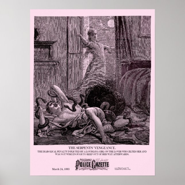 Póster Poster de la Gaceta de Policía (Frente)