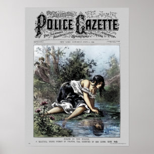 Póster Poster de la Gaceta de Policía Insane Woods