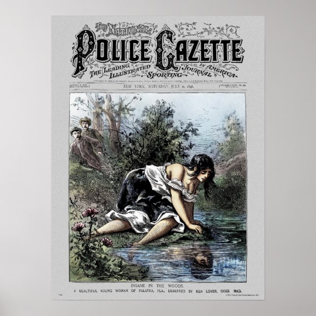 Póster Poster de la Gaceta de Policía Insane Woods (Frente)