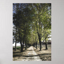 Póster poster de la gamba del guardapolvo amarillo