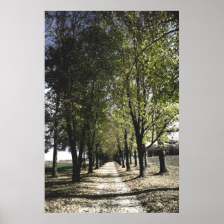 Póster poster de la gamba del guardapolvo amarillo