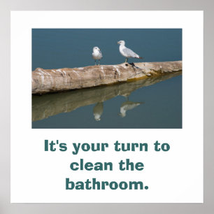 Póster Poster de la gaviota que habla