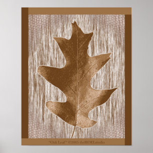 Póster Poster de la hoja del roble