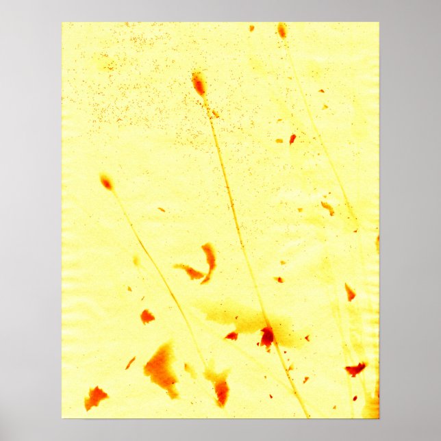 Póster Poster de la huella solar de la amapola seca y las (Frente)