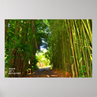 Póster Poster de la jungla