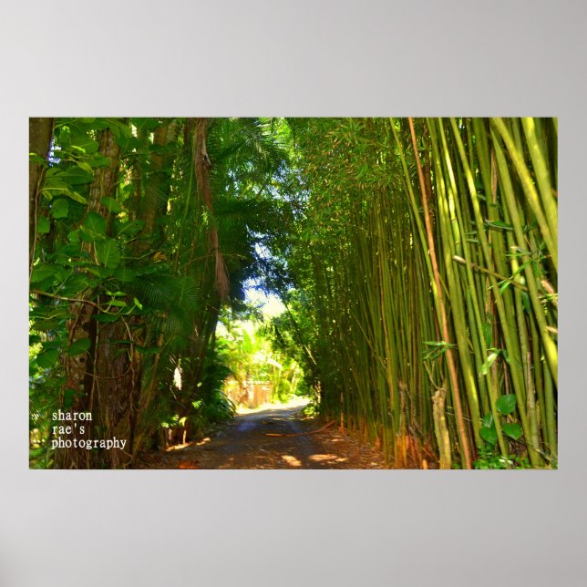 Póster Poster de la jungla (Frente)