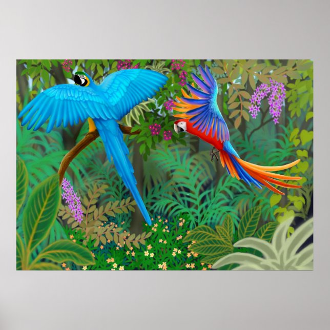 Póster Poster de la jungla de Macaw (Frente)