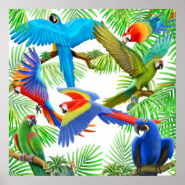 Póster Poster de la jungla de Macaw