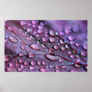 Póster Poster de la lluvia púrpura