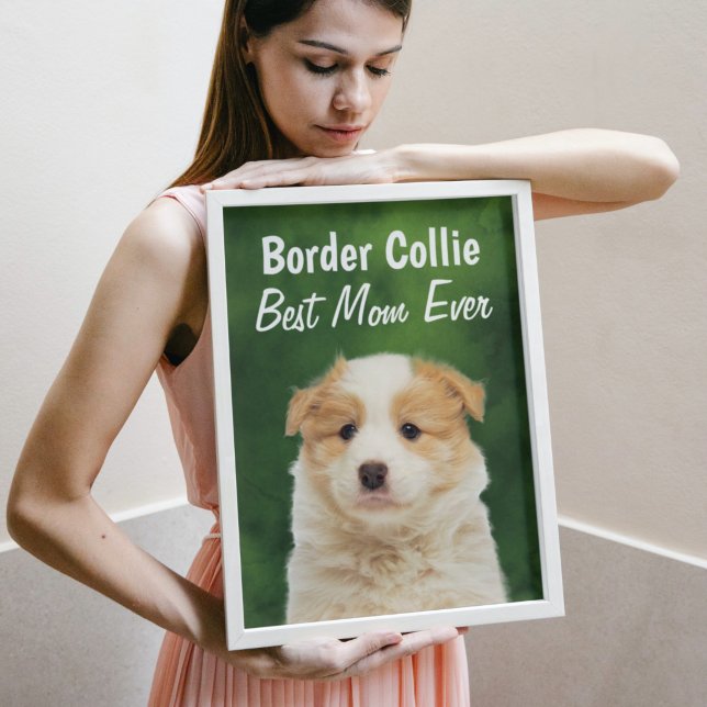 Póster Poster de la mejor mamá de la frontera de Collie (Subido por el creador)