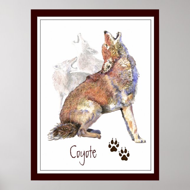 Póster Poster de la naturaleza animal de Coyote Howling (Frente)