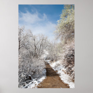 Póster Poster de la naturaleza de la nieve de la