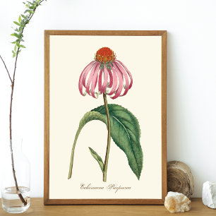 Póster Poster de la Naturaleza de la Púrpura Conefluente