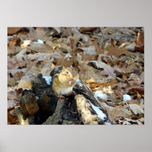 Póster Poster de la Naturaleza de las Quejas de Chipmunk