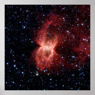 Póster Poster de la nebulosa de la viuda negra