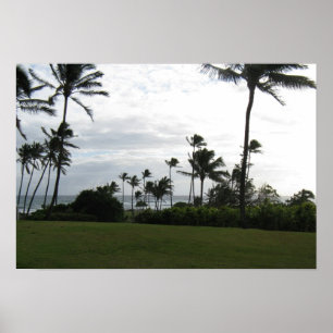 Póster Poster de la palma de Kauai