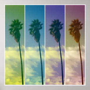 Póster Poster de la palmera