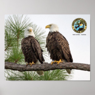 Póster Poster de la pared de la leva de SWFL Eagle