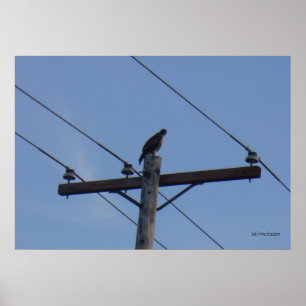 Póster Poster de la percha de la popa del teléfono