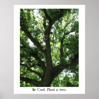 Póster Poster de la Planta Tierra-A-Tree