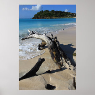 Póster Poster de la playa de Antigua