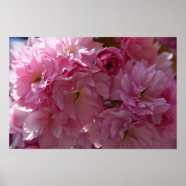 Póster Poster de la primavera (Frente)