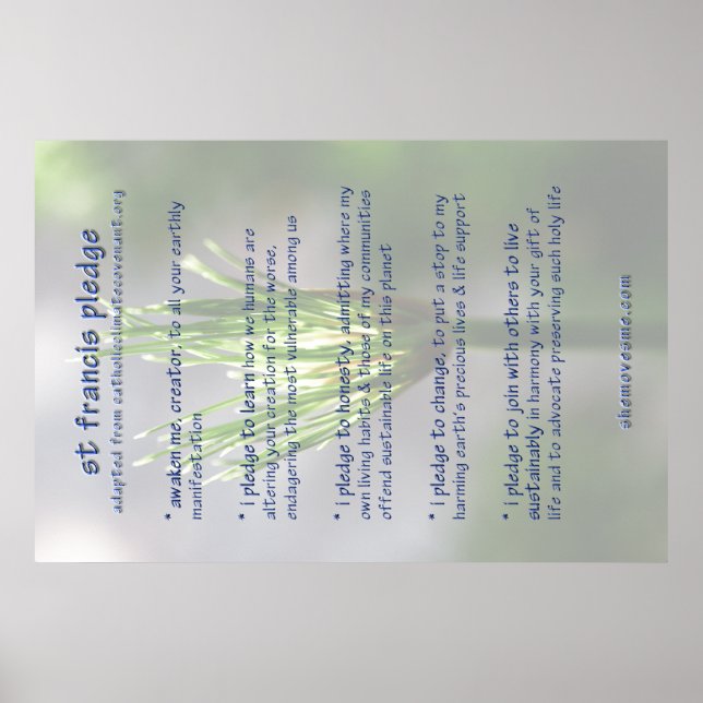 Póster poster de la promesa de contribución de francis (  (Frente)