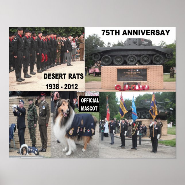 Póster Poster de la Rata del Desierto 75. Celebraciones a (Frente)