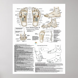 Póster Poster de la Reflexología de los Pies y el Punto d