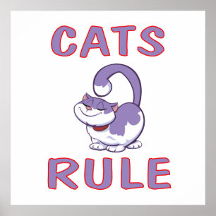 Póster Poster de la REGLA de los GATOS