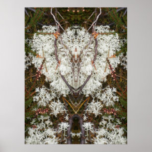 Póster Poster de la Reina Isabel I de Lichen