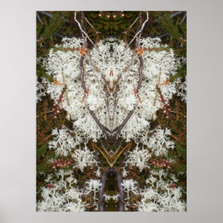 Póster Poster de la Reina Isabel I de Lichen