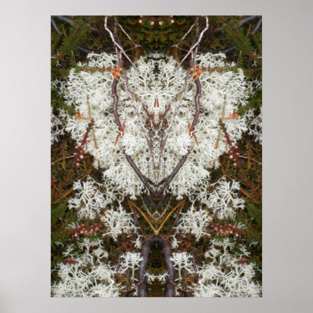 Póster Poster de la Reina Isabel I de Lichen (Frente)