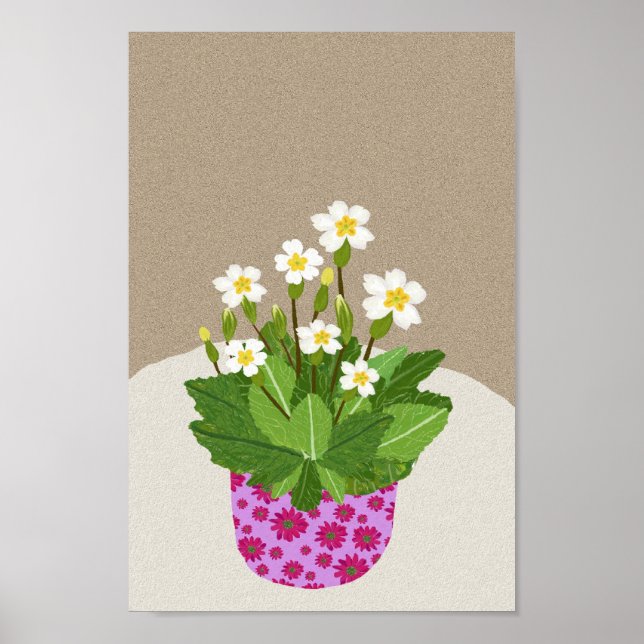 Póster Poster de la rosa primosa (Frente)