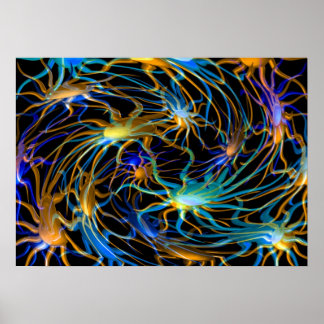 Póster Poster de la rueda espiral de Valxart