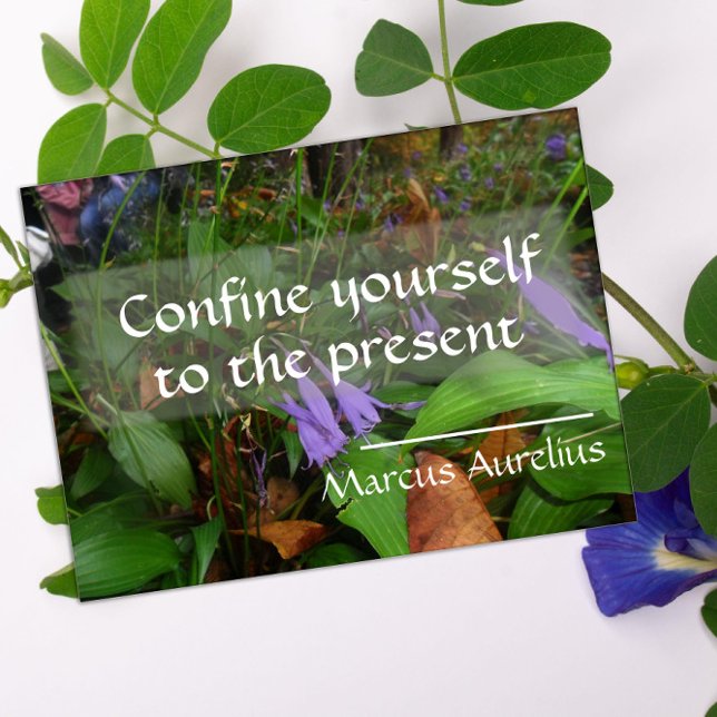 Póster Poster de la sabiduría latina cita la vegetación (Subido por el creador)