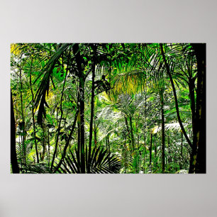 Póster Poster de la selva tropical