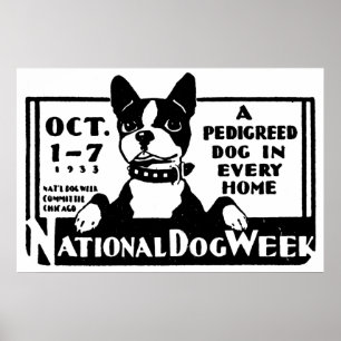 Póster poster de la Semana Nacional del Perro de 1933