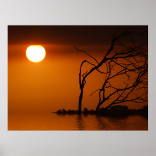 Póster poster de la silueta solar