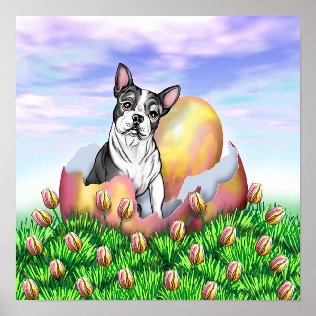 Póster Poster de la sorpresa de Boston Terrier Easter (Frente)