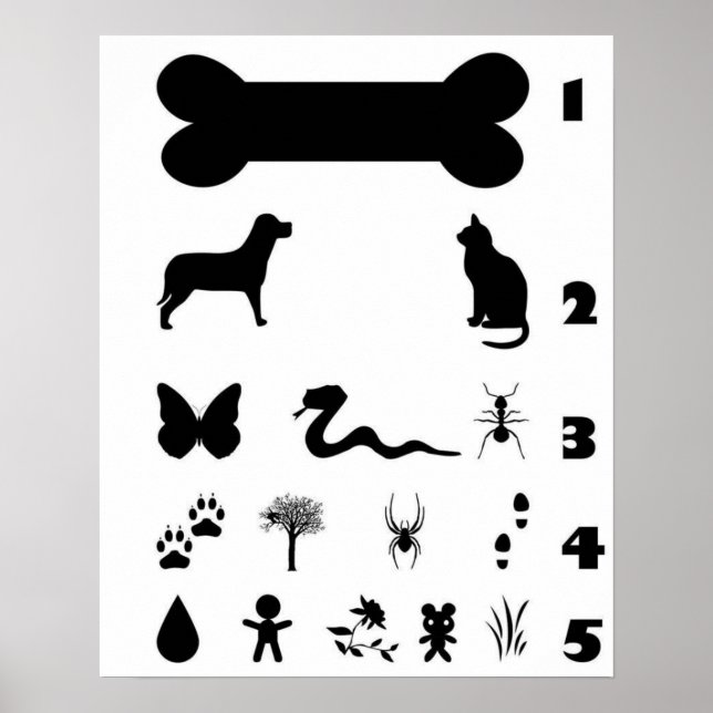 Póster Poster de la tabla ocular de animales de perro (Frente)