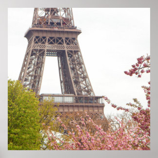 Póster Poster de la Torre Eiffel y los cerezos en flor
