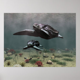 Póster Poster de la tortuga de Leatherback